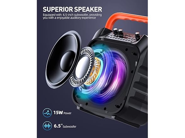 Karaoke Machine with 2 Wireless Mics