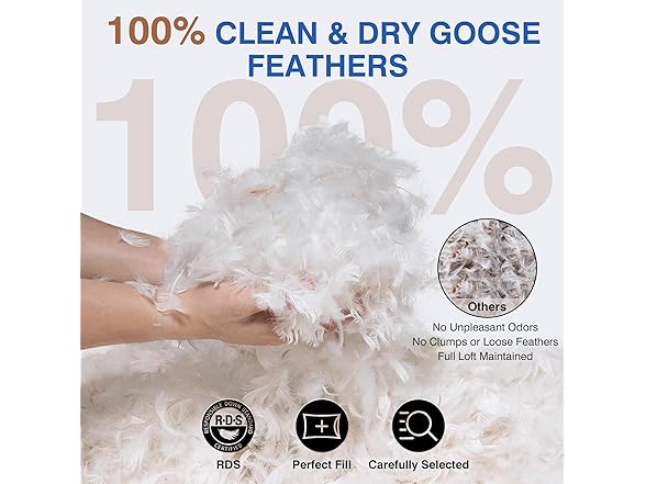 Zibroges Premium Goose Feather Pillows