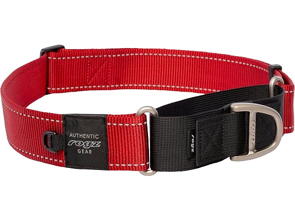 Rogz Control Martingale Web Collar Small