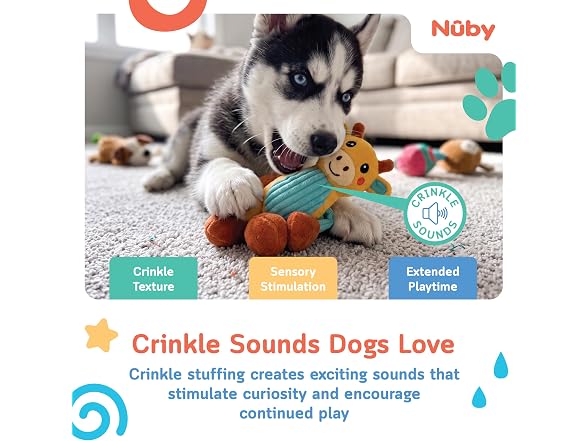 Nuby Pull & Tug Dog Toy – Interactive Plush Dog Toy