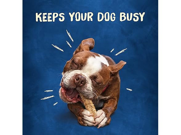 10CT Purina Busy Rawhide Small/Medium Breed Dog Bones