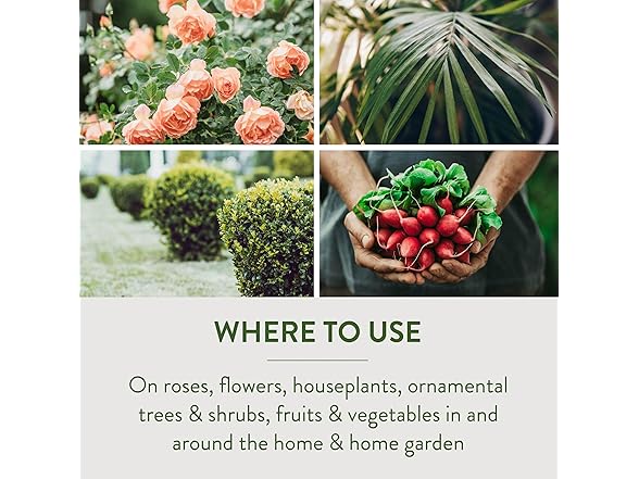 Fungicide with Neem Oil 32oz 6pk