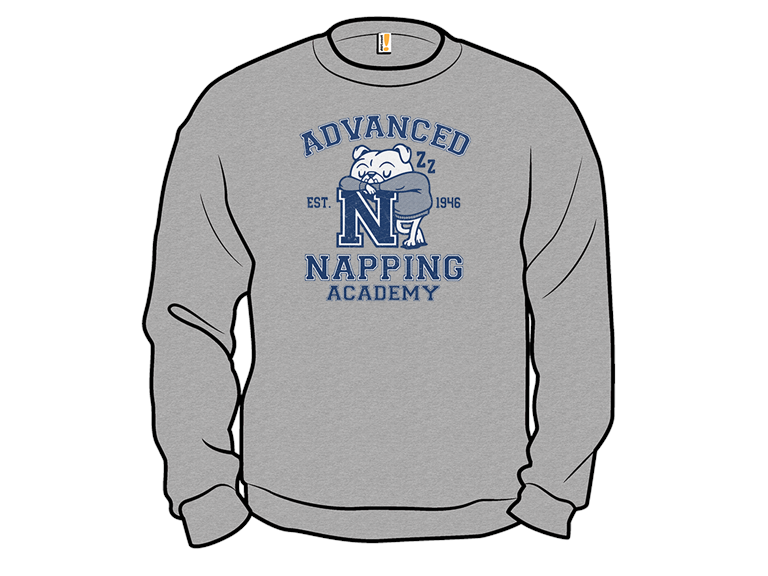 Advanced Napping Academy
