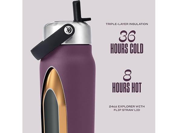S'well Recycled Stainless Steel Explorer 24oz, Plum