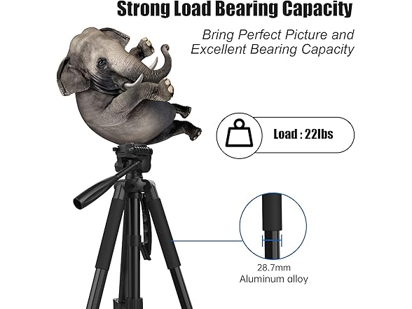 YoTilon 72" Tripod for Camera