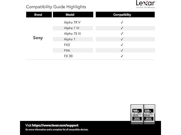 Lexar 160GB Professional CFexpress Type A SILVER Series Memory Card, Compatible with Sony Cameras w/ Type A Card Slot, Up to 800/700 MB/s Read/Write, 8K Video, VPG 200 (LCAEXSL160G-RNENG) (Open Box)