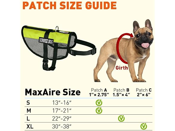 Dogline Service Dog Vest, 13 by 16-In, Lime