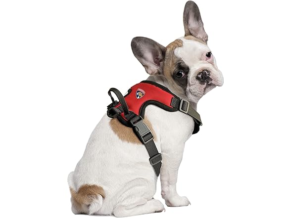Panthers Pet Harness XS