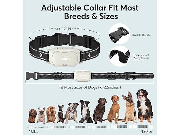 Delupet W0568 Dog Shock Collar 2 Dogs