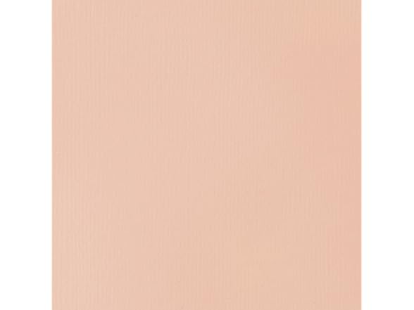 Liquitex Basics Acrylic Paint 4oz 810 Light Portrait Pink
