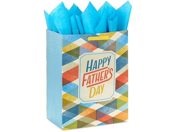 Hallmark 17" Father's Day Gift Bag