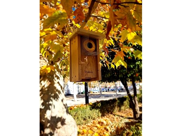 Elijebirds Bluebird Bird House