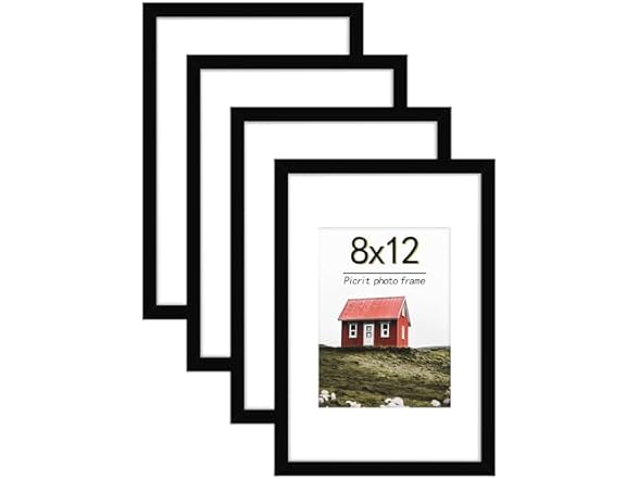 Picrit 8x12 Picture Frame Set of 4