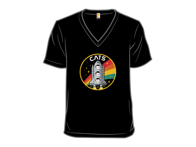 CATS  Space Division