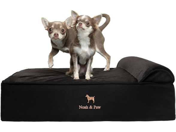 NOAH & PAW Orthopedic Dog Beds- Medium