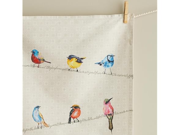 Maison d' Hermine Kitchen Towels Set of 2