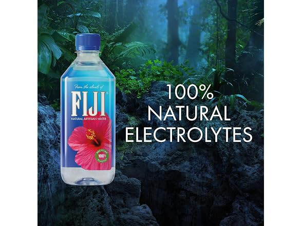 FIJI Artesian Bottled Water 16.9 oz Pack of 24