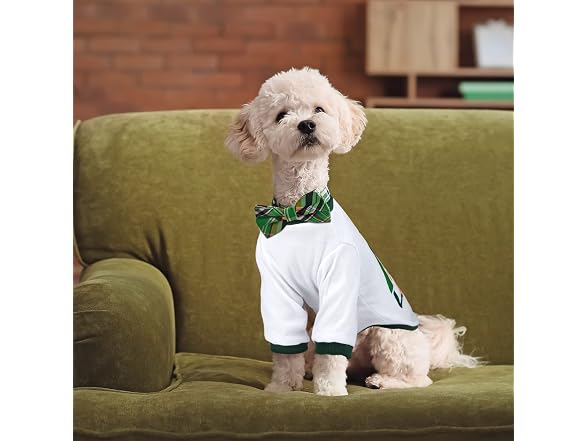 2 Pcs St. Patrick's Day Pet Shirts Dog Cloth