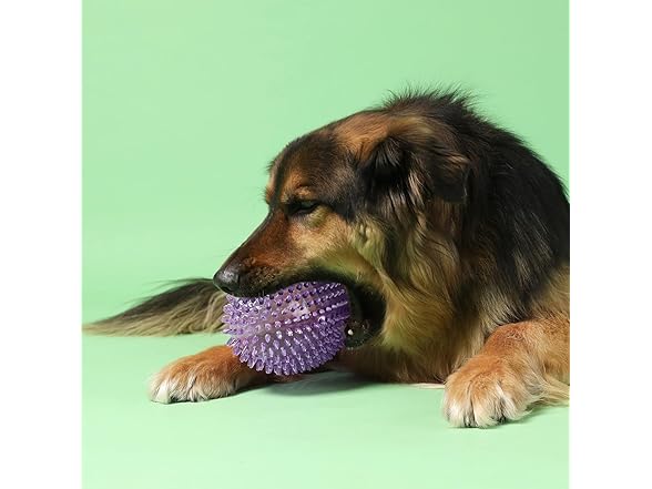 Gnawsome MEGA Spiky Football