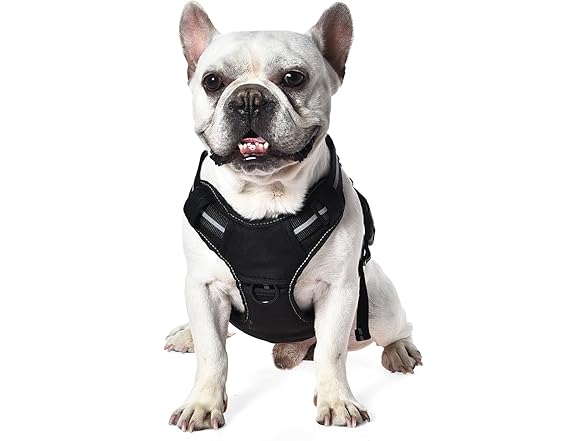 Amazon Basics No Pull Dog Harness