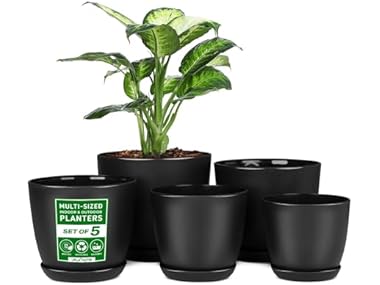$7.99 Lifemaster Plant Pots, 5 PC dealfomo