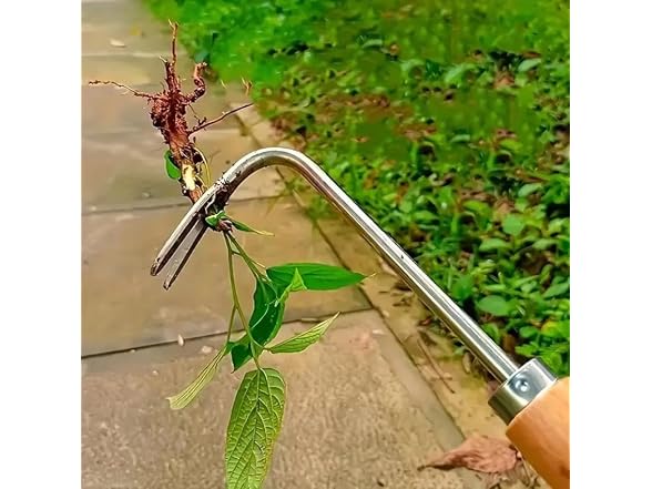 nine-tailed fox GAR-31 (2 Pack) Hand Weeder Rake Tool