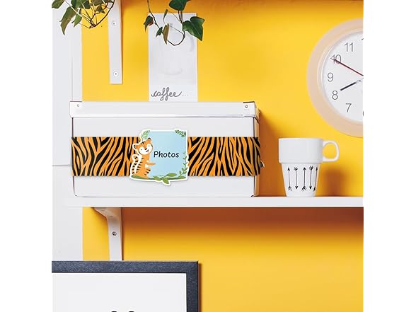 Creative Teaching Press CTP Tiger Stripes Border