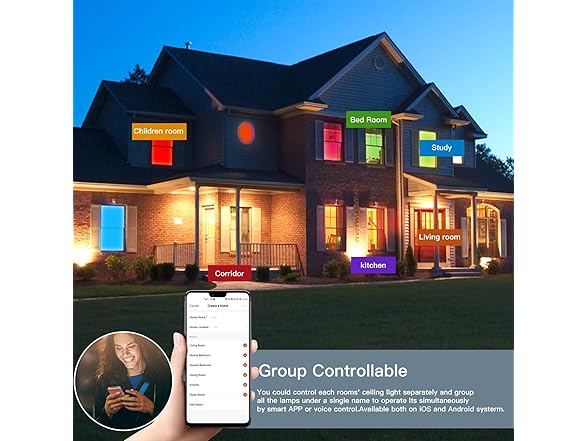 TALOYA Smart Ceiling Light Fixture