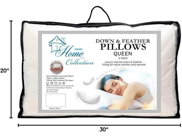 2pk Down & Feather Cover Pillows