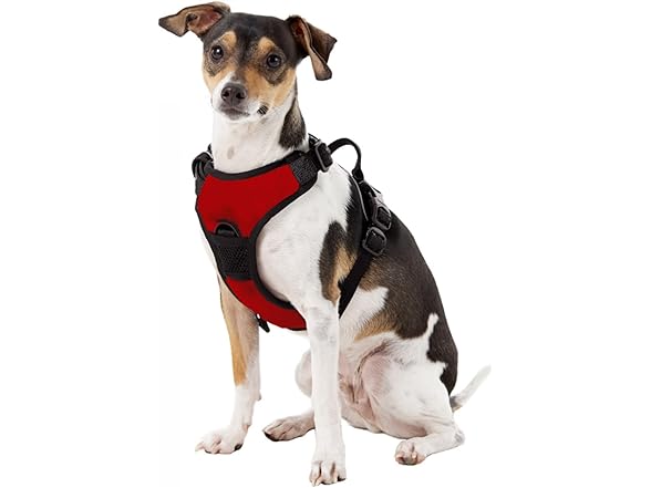 Panthers Pet Harness XS
