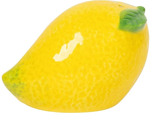 Jubilee Citrus Burst Stoneware Salt and Pepper Shakers 2.75 x 2in