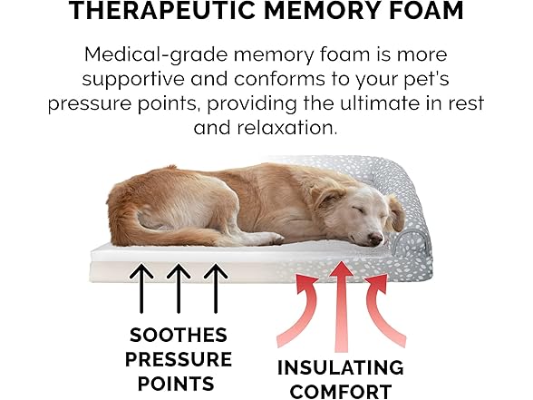 Furhaven Memory Foam Dog Bed for Medium/