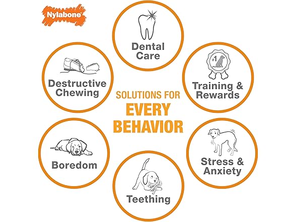 Nylabone Treatin' Cone Strong Stuffable Chew toy
