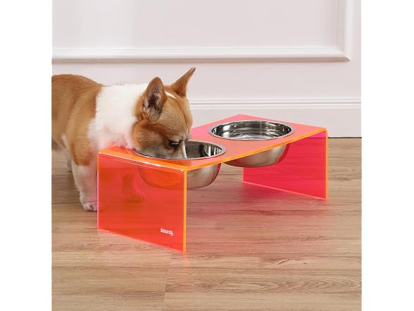 Keaton 7.5" Modern Acrylic Rectangular Elevated Pet Feeder