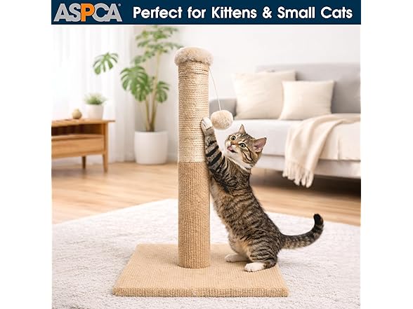 ASPCA Cat Scratching Post for Indoor Cats