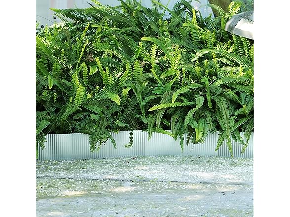 Gardzen Garden Landscape Edging Border