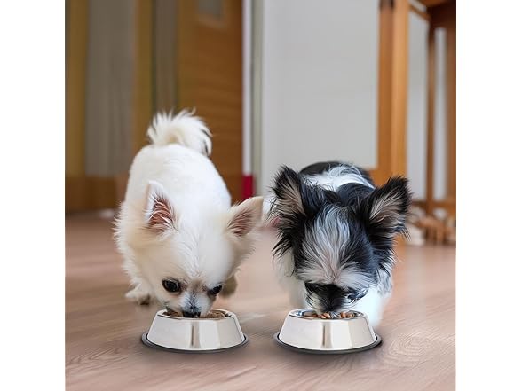 ICONIC PET 8 oz, 1 Cup SS Non Skid Pet Bowl
