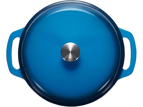 Amazon Basics Enameled Cast Iron