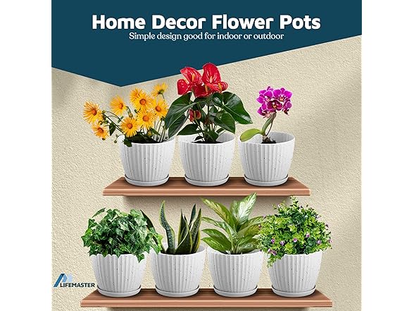 6" Plant Pots w/ Saucers 24pk