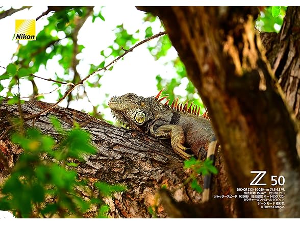 Nikon Nikkor Z DX 50-250mm F/4.5-6.3 VR