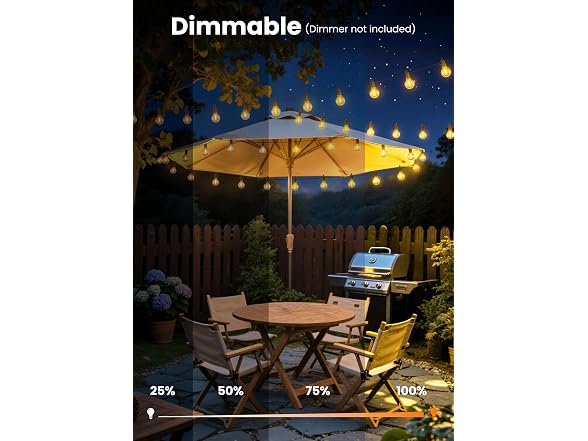 SmartDawn 29FT G40 Outdoor String Lights