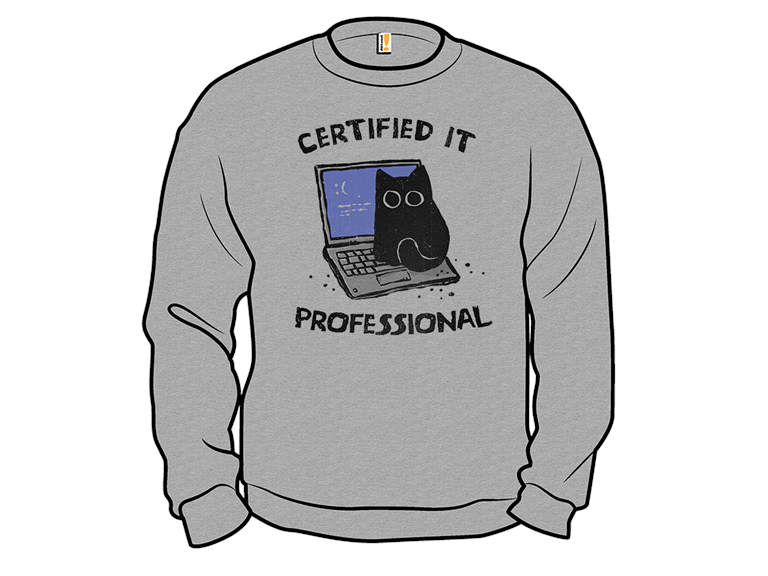 Certified IT Professional
