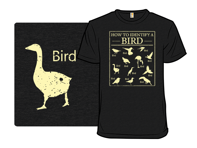 How To Identify A Bird