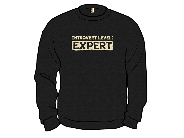 Introvert Level Expert