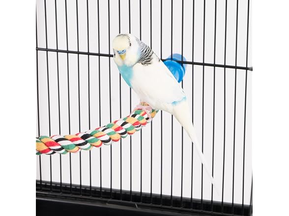 PENN-PLAX Bird Life Multicolored and Flexible Rope Perch