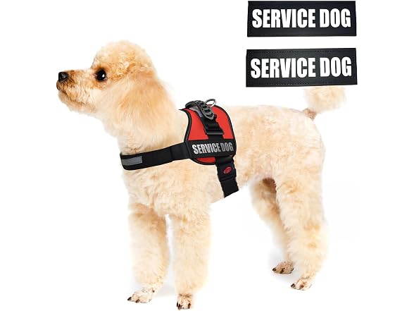 ALBCORP Service Dog Vest Harness Small, Red
