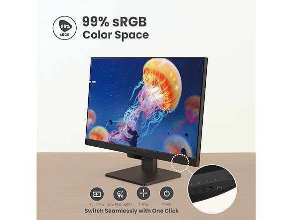 BenQ 24" FHD Monitor | GW2490
