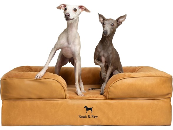 NOAH & PAW Dog/Cat Sofa- Large