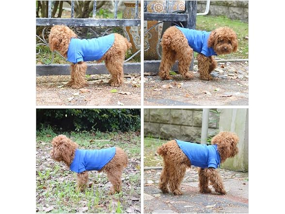lovelonglong Basic Dog Polo Shirts Premium C