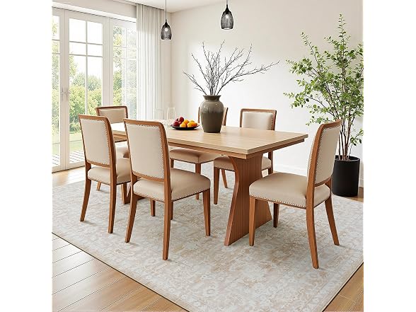 RUGVIGO Area Rug 5x7